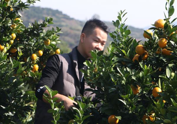 惠农网电商学员滕华：为梦归乡 小县城也有大舞台