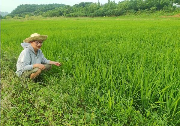 年入200余万元！看80后IT高管如何靠惠农网跨界生财