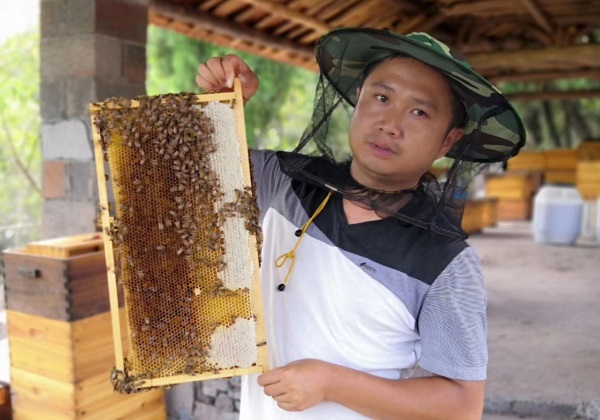 惠农网锤炼致富带头人 泸溪县张明养蜂酿就甜蜜生活