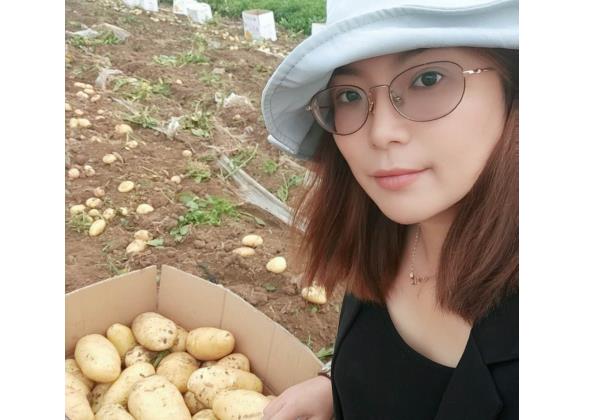 一个月销售500吨，惠农代卖帮助新手夫妇将土豆卖向全国