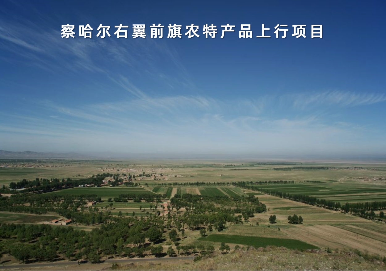 内蒙古自治区察哈尔右翼前旗农特产品上行项目