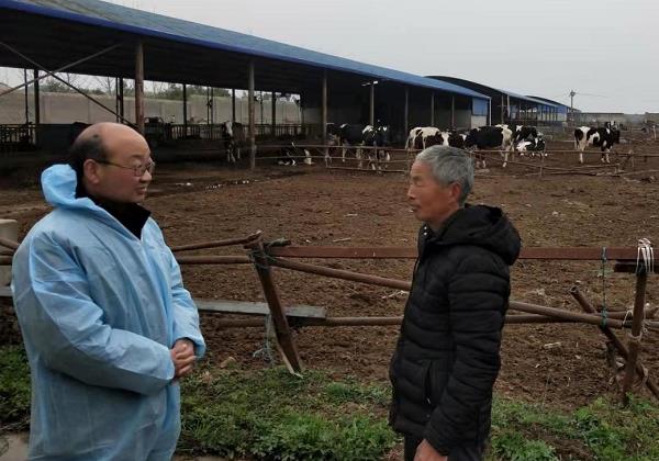 惠农网农技专家刚志敏：在线问答+视频课+农技直播让家猪变“金猪”