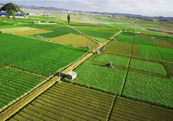 农业农村部办公厅关于开展2022年全国休闲农业重点县申报和监测工作的通知