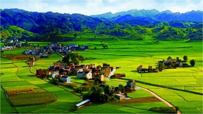 关于印发《“我的家乡我建设”活动实施方案》的通知