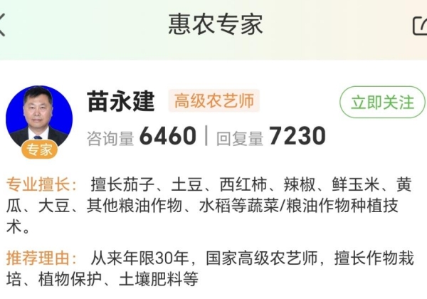 惠农网农技专家苗永建：传技“多面手”，让玉米平均单产达1.34万公斤/公顷