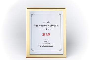 2025年中国产业互联网领军企业