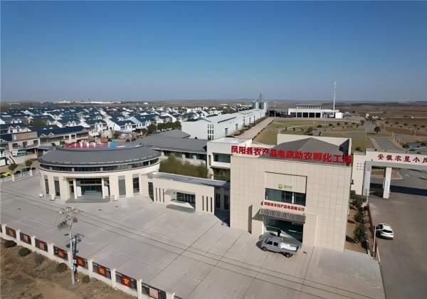 凤阳县农产品电商助农孵化工坊 凤阳县农产品电商助农孵化工坊