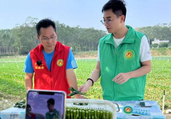 惠农网年度助农明星专家麦健辉：有问必答，把农技种进万千农户心里