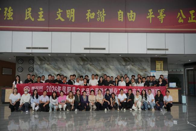凤阳农产品电商助农孵化工坊培训赋能乡村振兴 凤阳农产品电商助农孵化工坊培训赋能乡村振兴