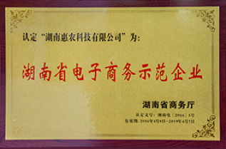 荣获湖南省电子商务示范企业