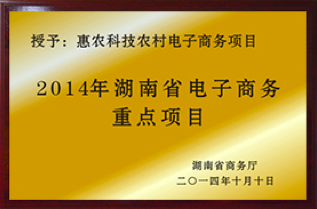 荣获2014湖南省电子商务重点项目