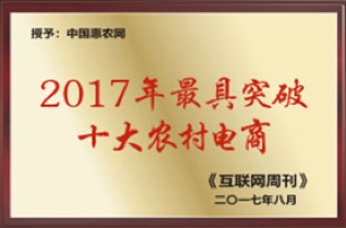 荣获2017年最具突破的10家农村电商称号名列榜首
